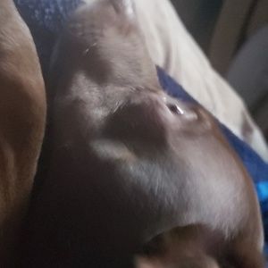 Meet your Posher, Tonya